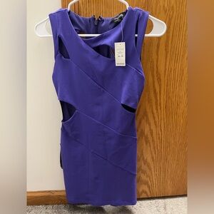 BEBE Purple Cutout and Bodycon Dress
